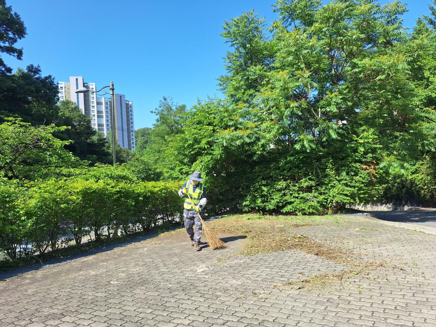0609 안동시 강남동, 현충일 맞아 영호루 환경정비 실시 (3).jpg