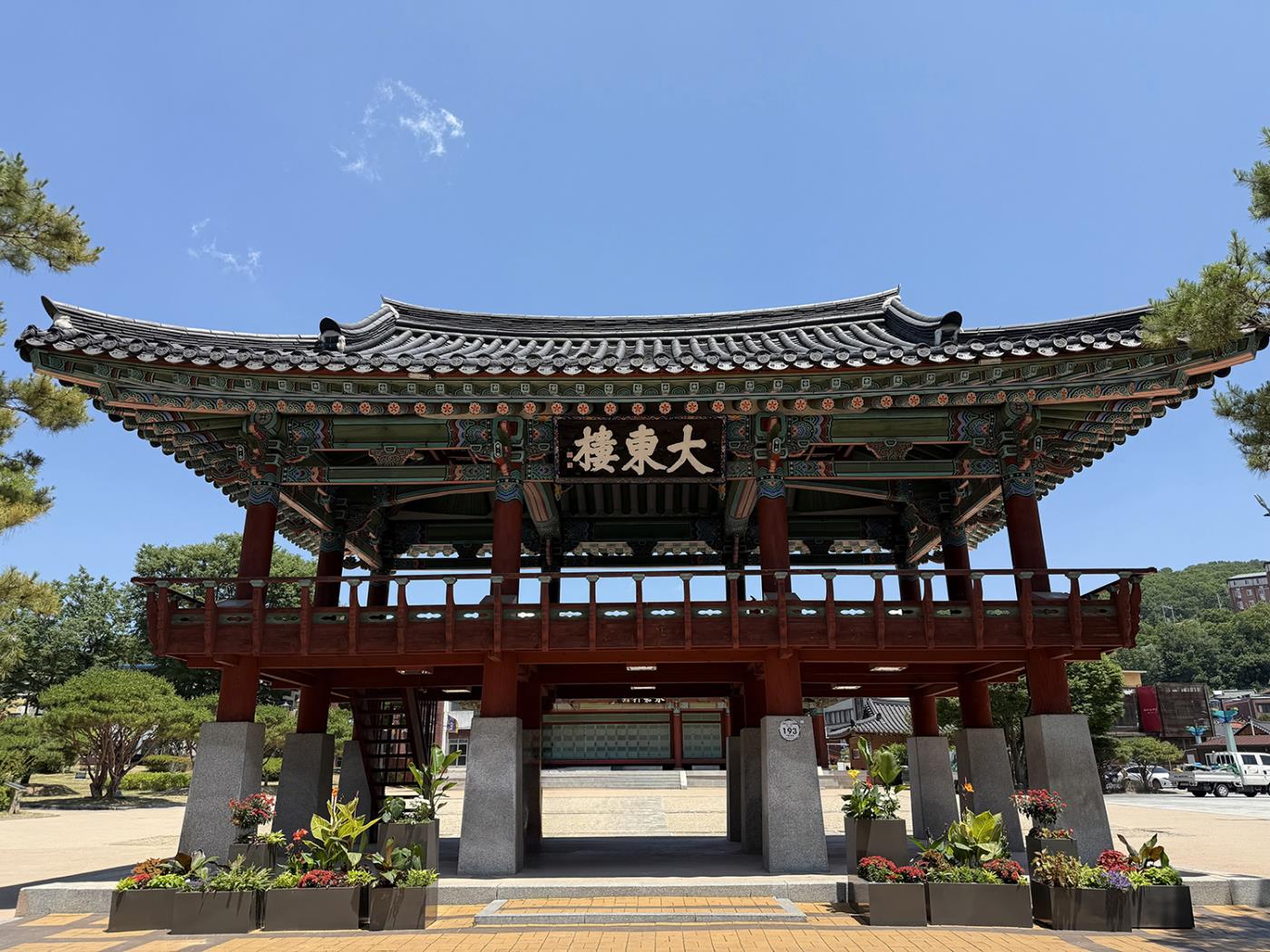 0618 안동시, 도심 내 ‘열대풍 가로화단’ 조성으로 여름철 색다른 볼거리 제공 (1).jpg