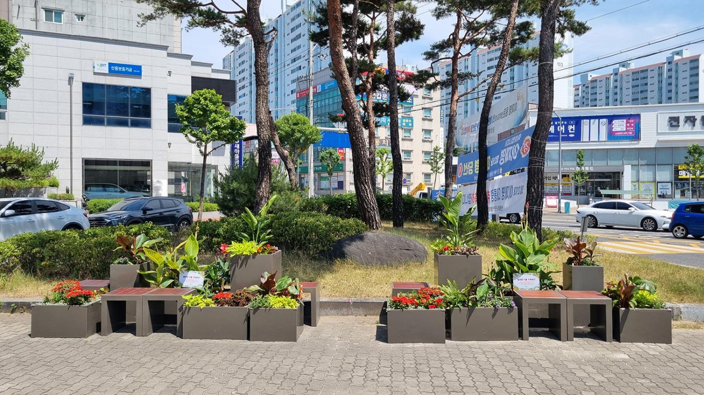 0618 안동시, 도심 내 ‘열대풍 가로화단’ 조성으로 여름철 색다른 볼거리 제공 (3).jpg